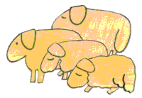 Ovelles (Vedruna RIpoll)